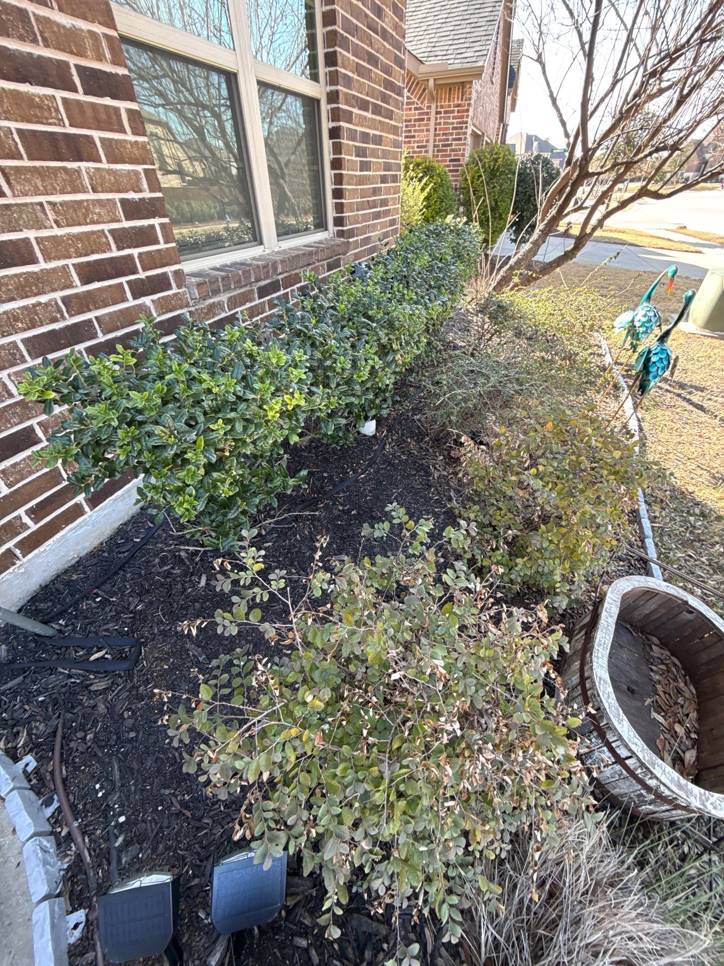 Project in Collin County