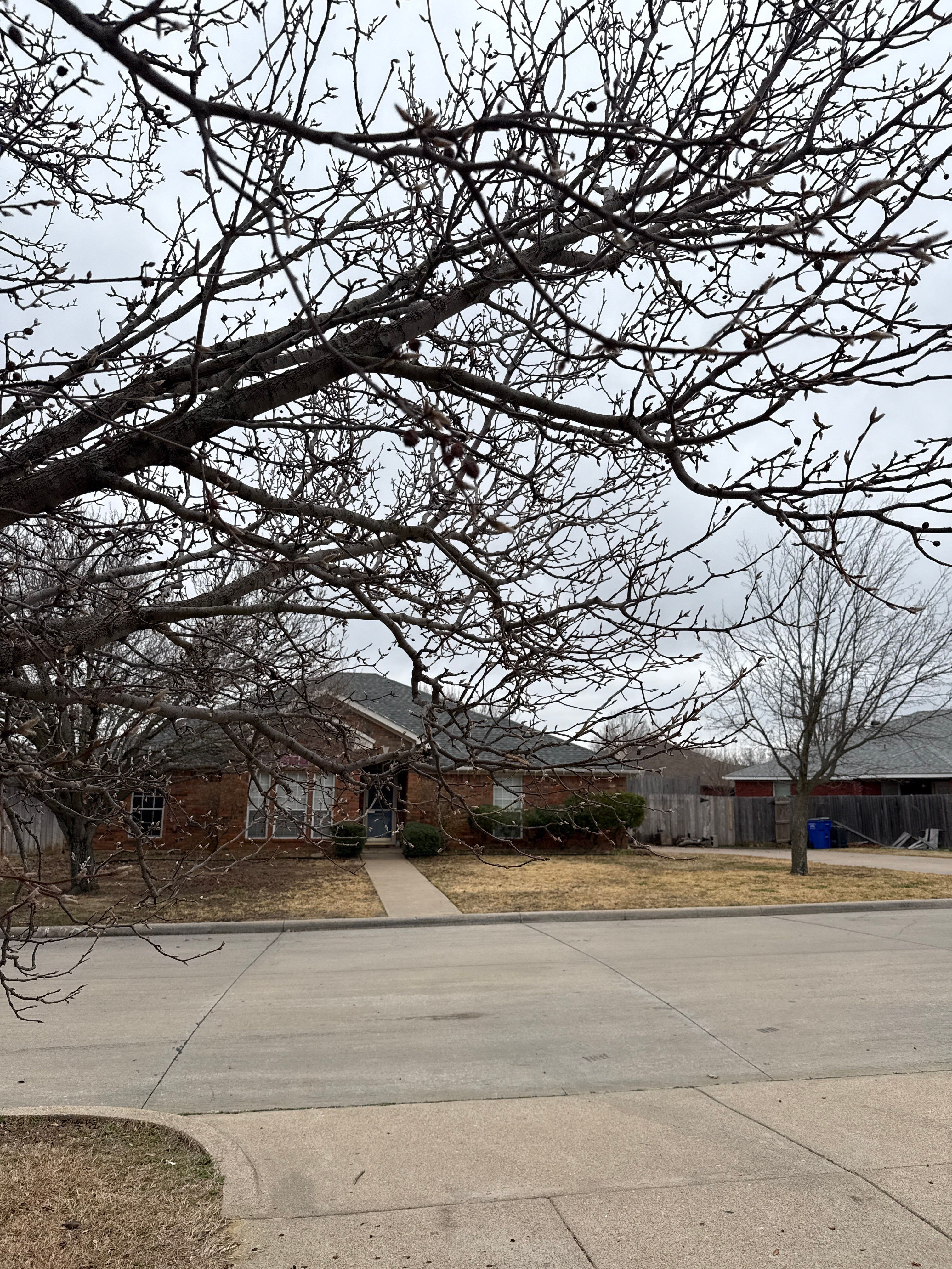 Project in Johnson County