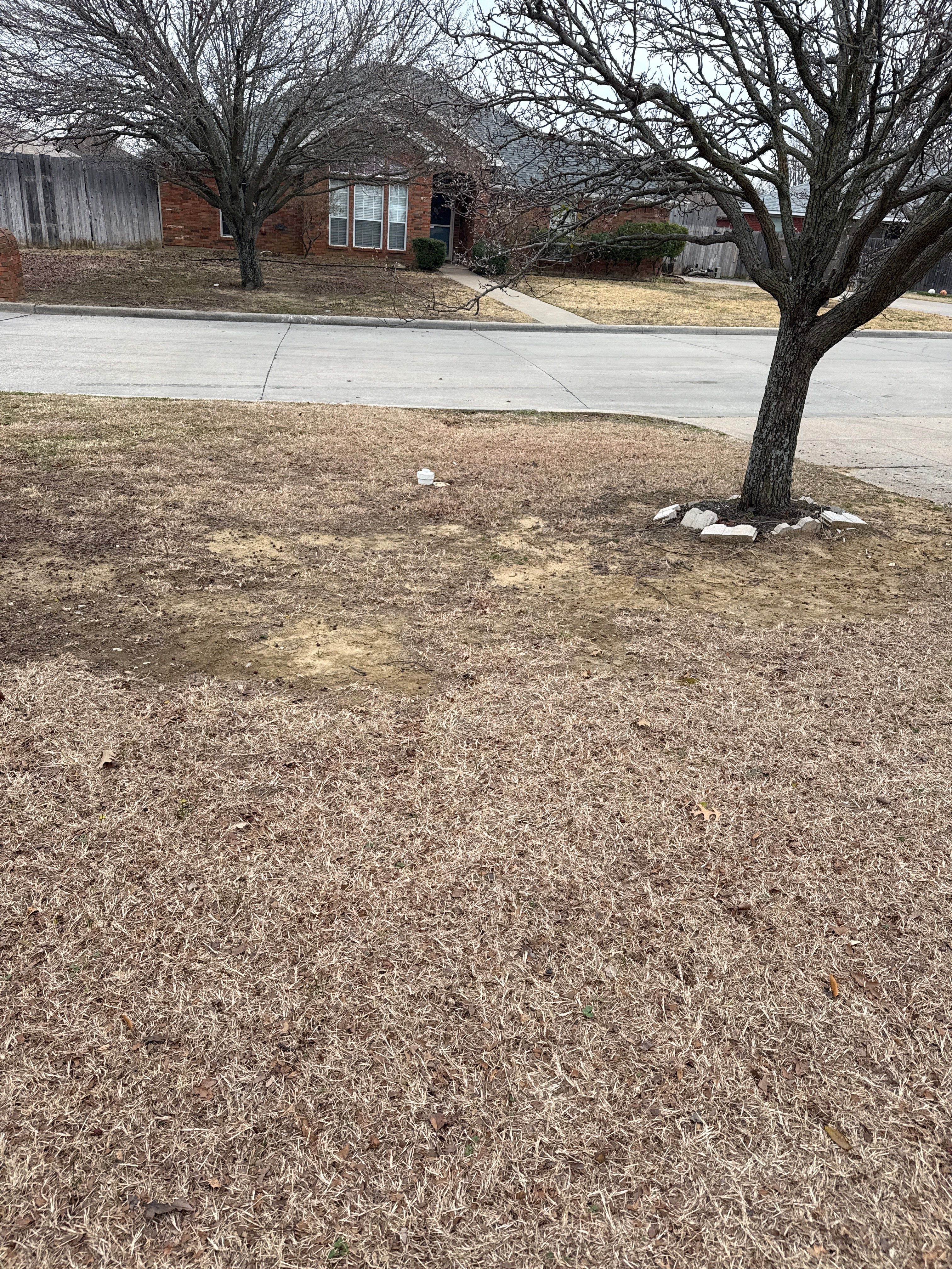 Project in Johnson County