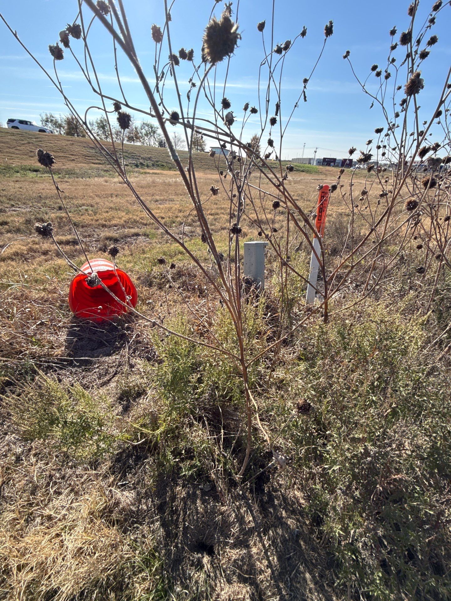 Project in Kaufman County