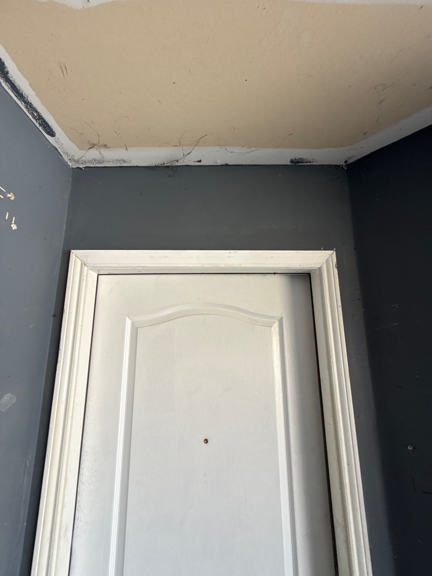 Door and gate service