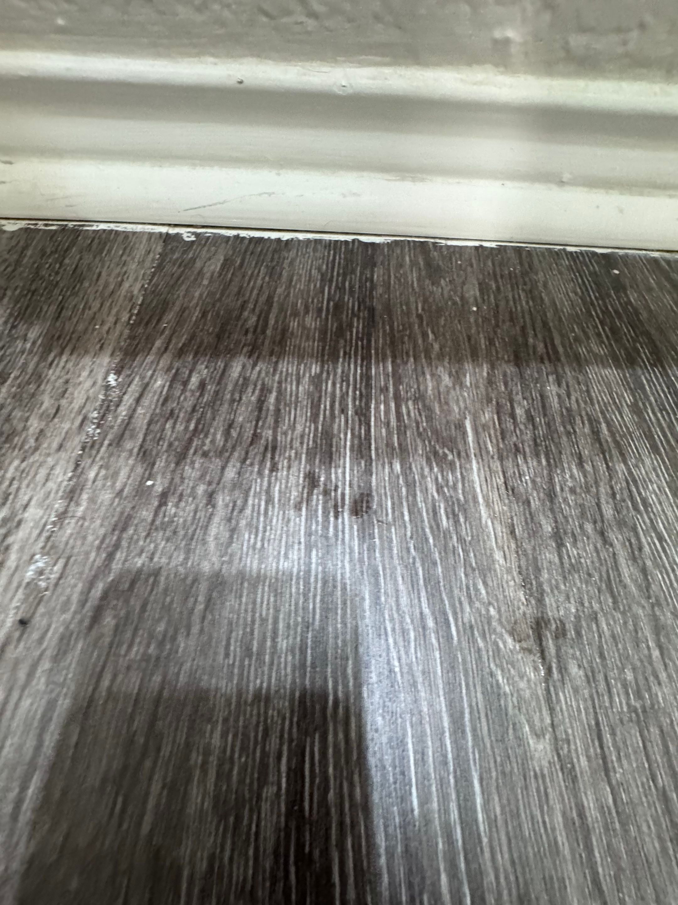 Door and gate service