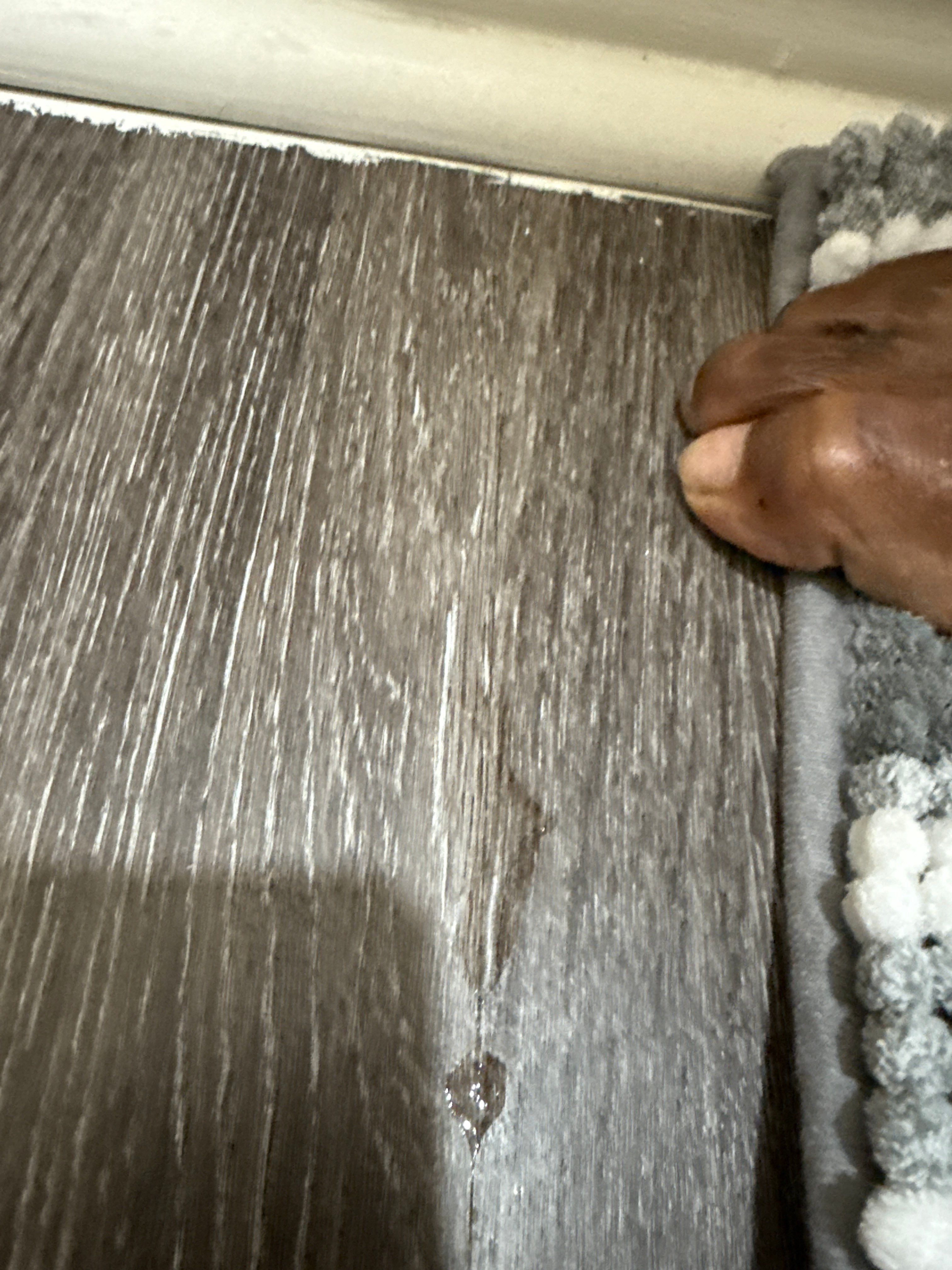 Professional plumbing service