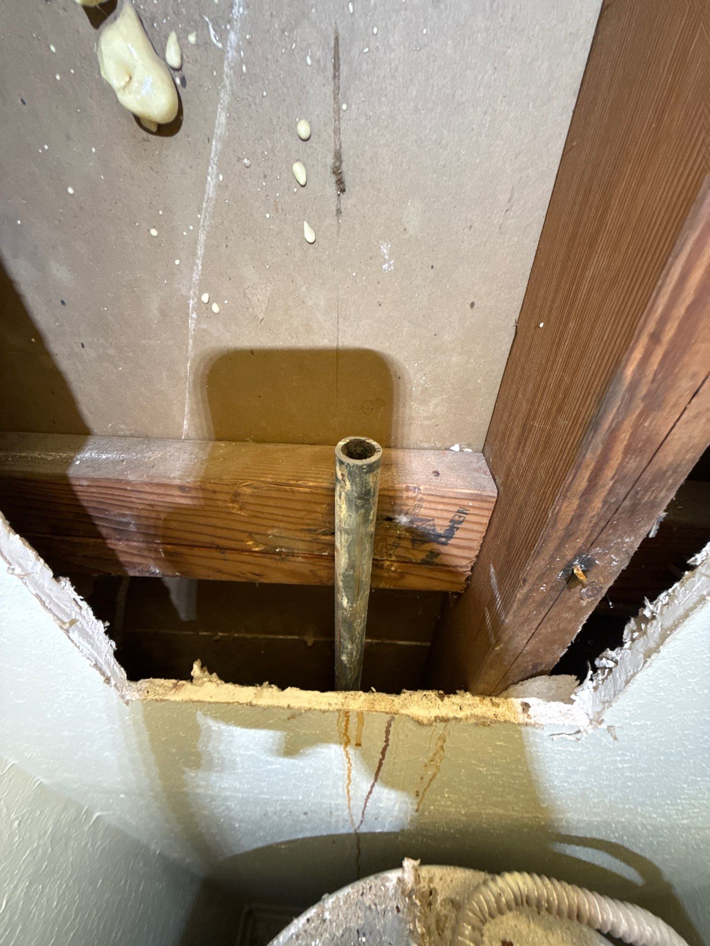 Professional plumbing service