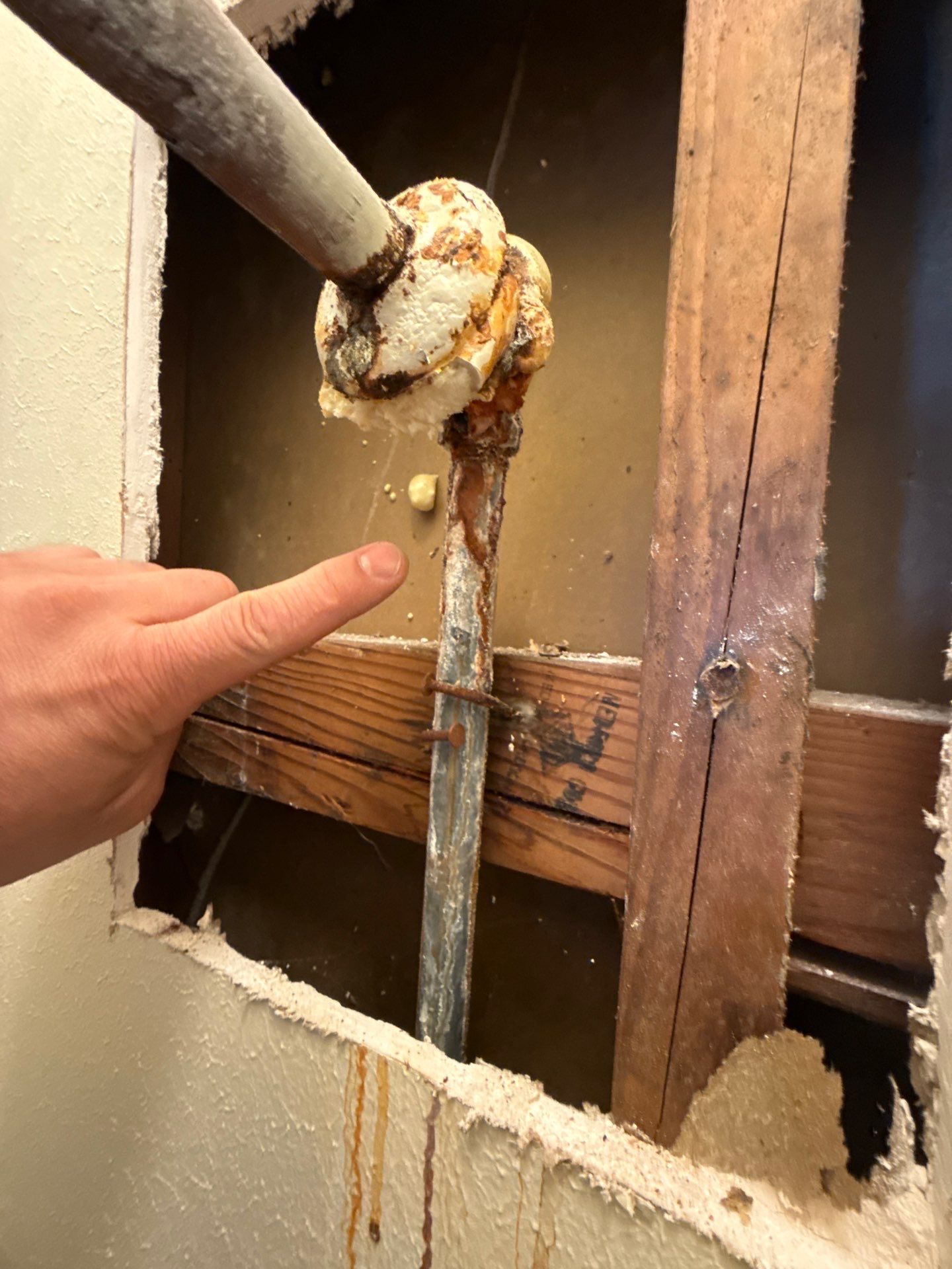 Professional plumbing service