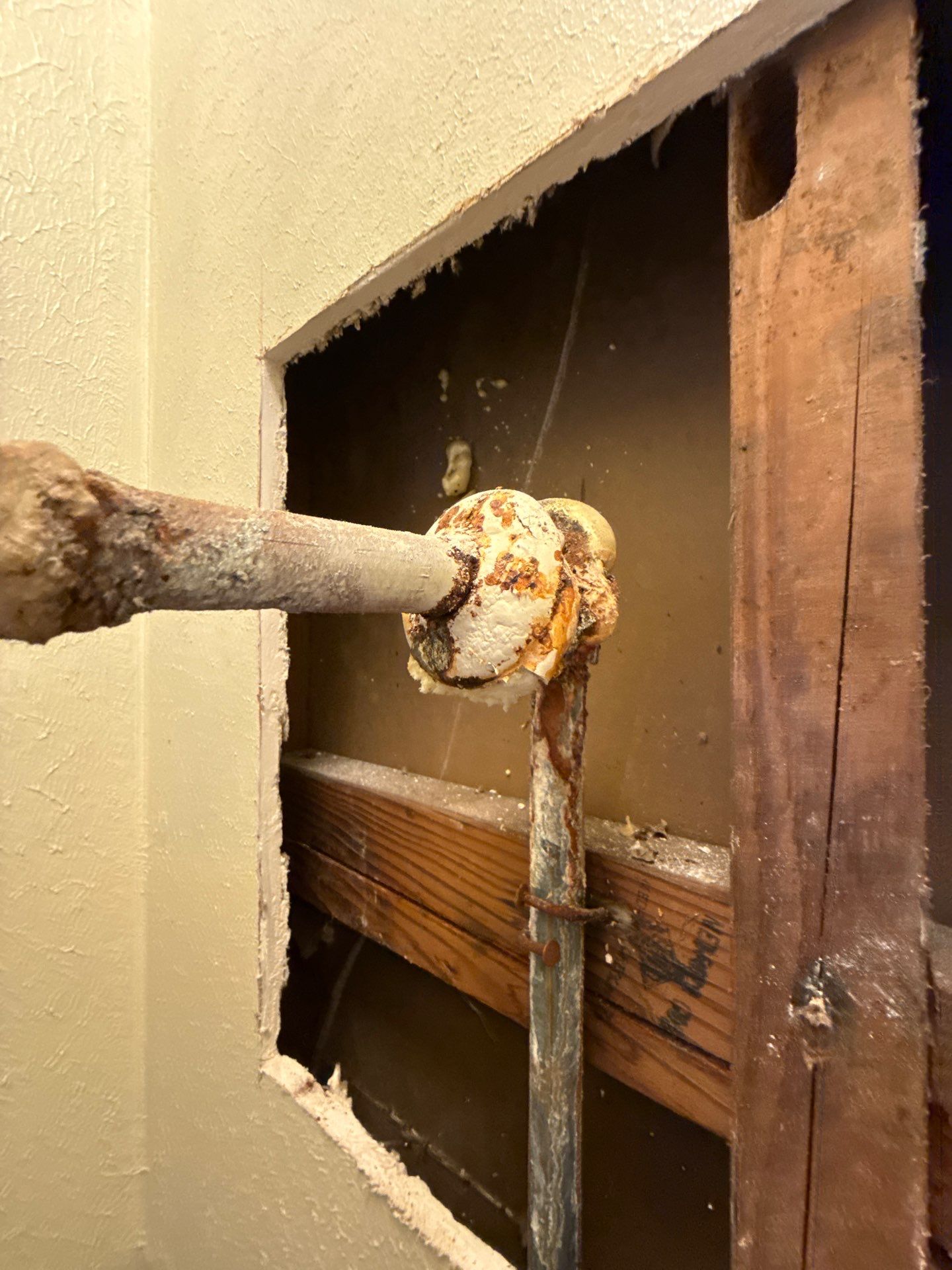 Professional plumbing service