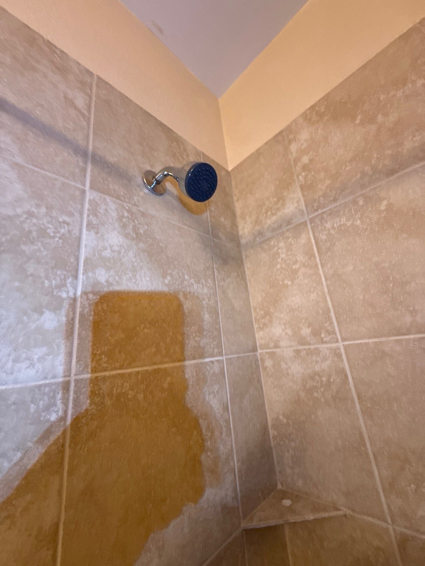 Professional plumbing service