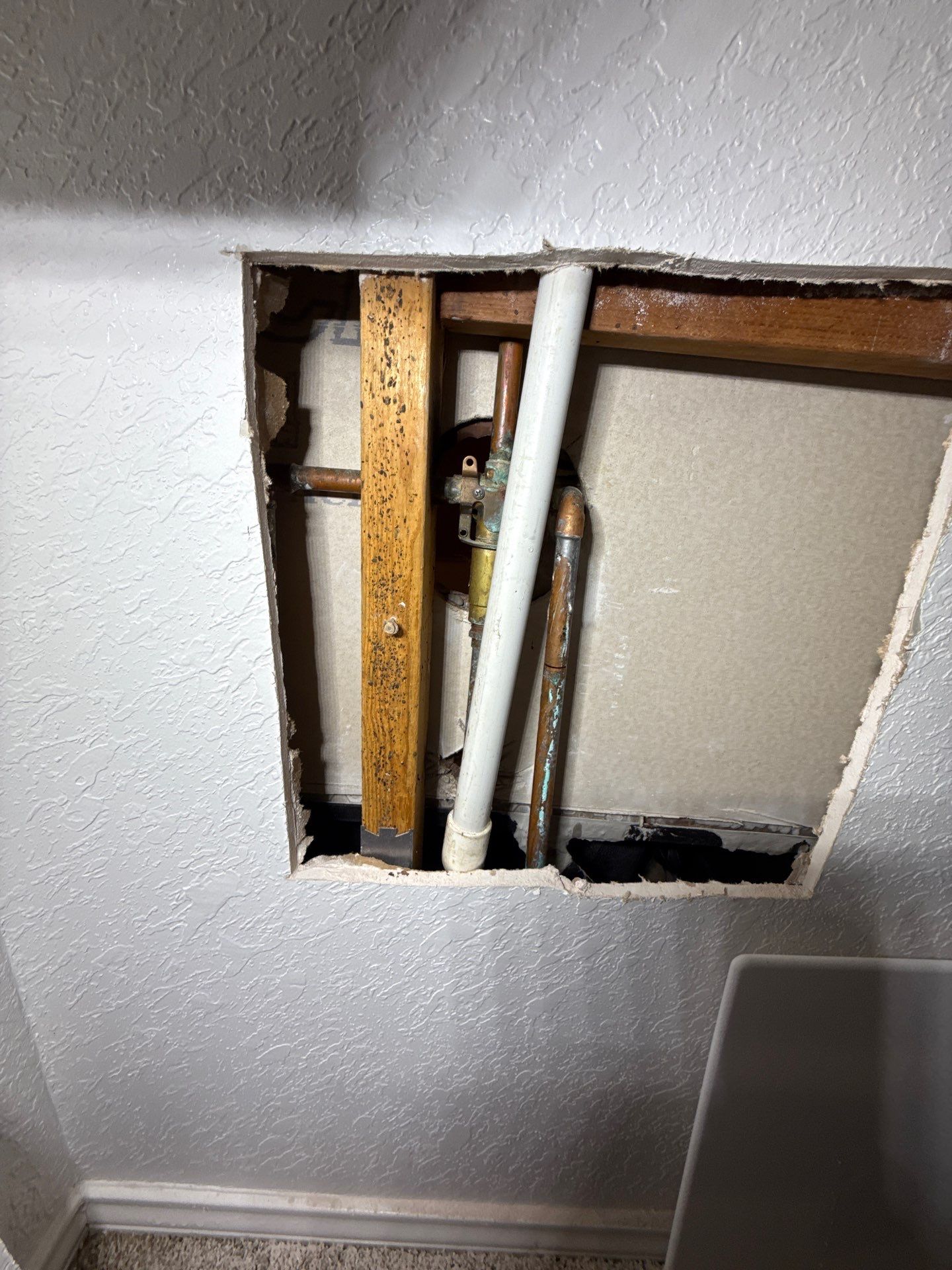 Professional plumbing service