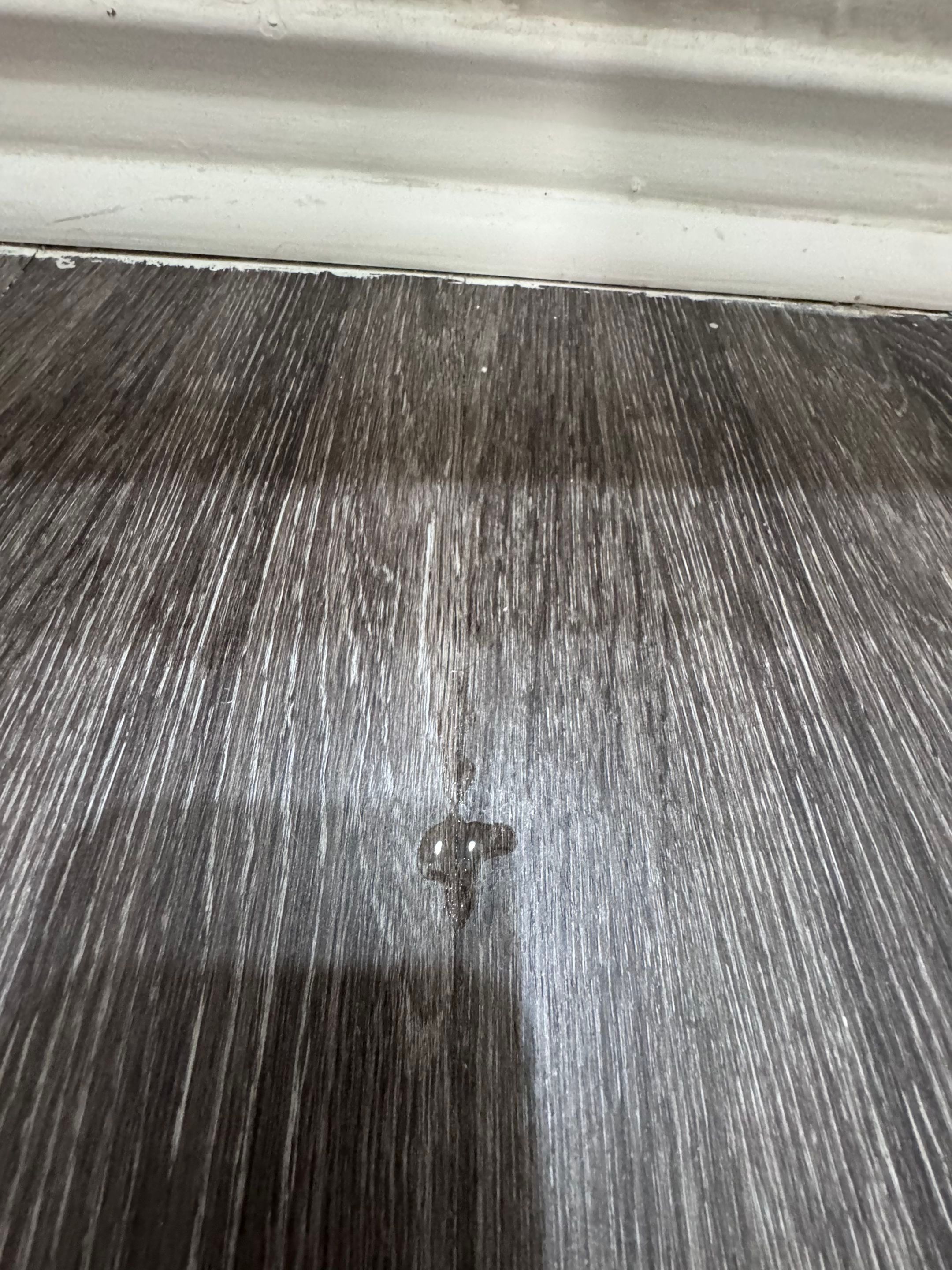 Professional plumbing service