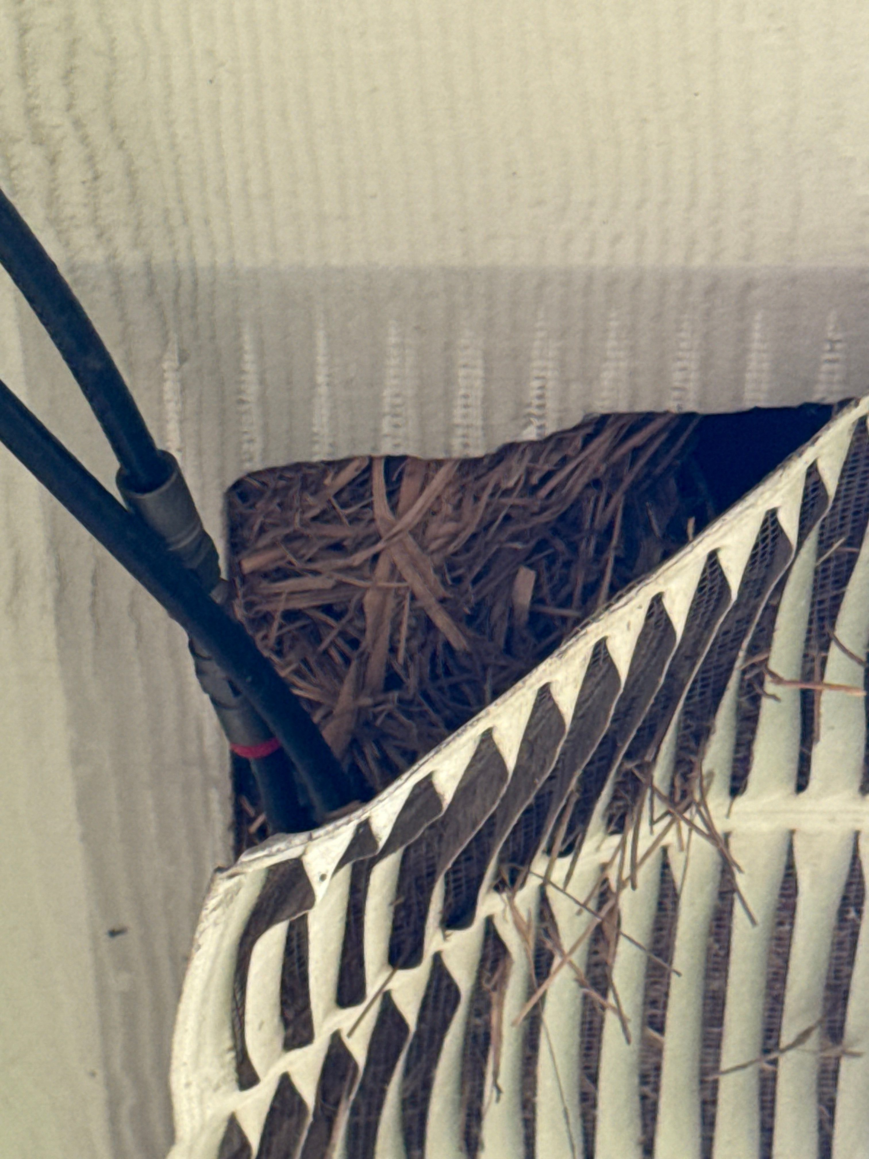 Professional plumbing service