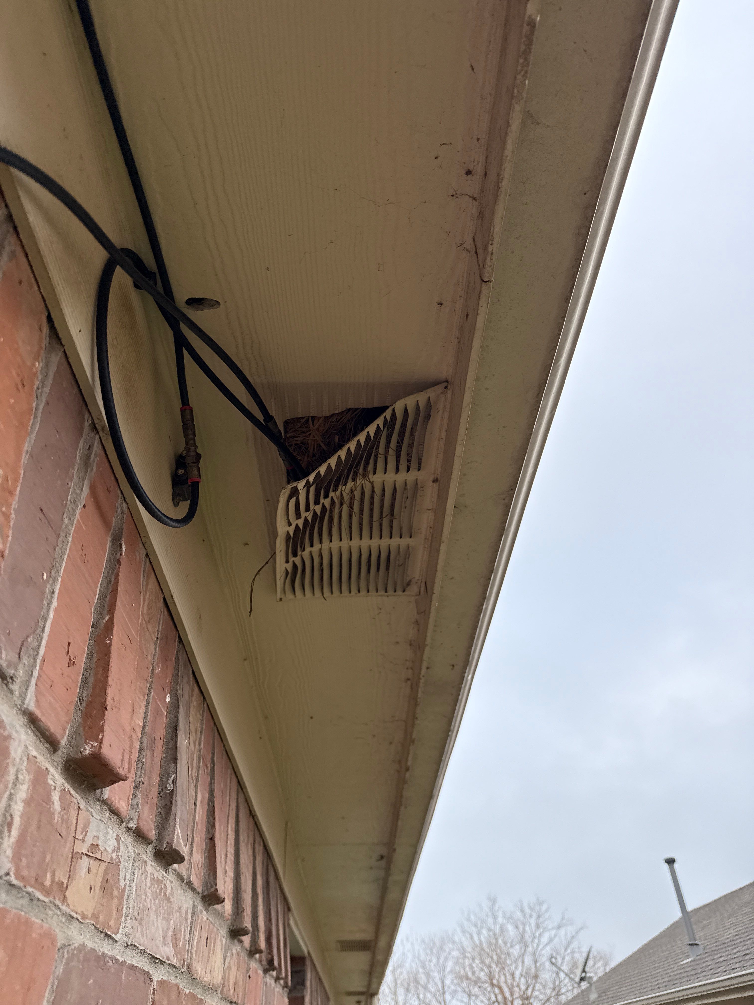 Professional plumbing service