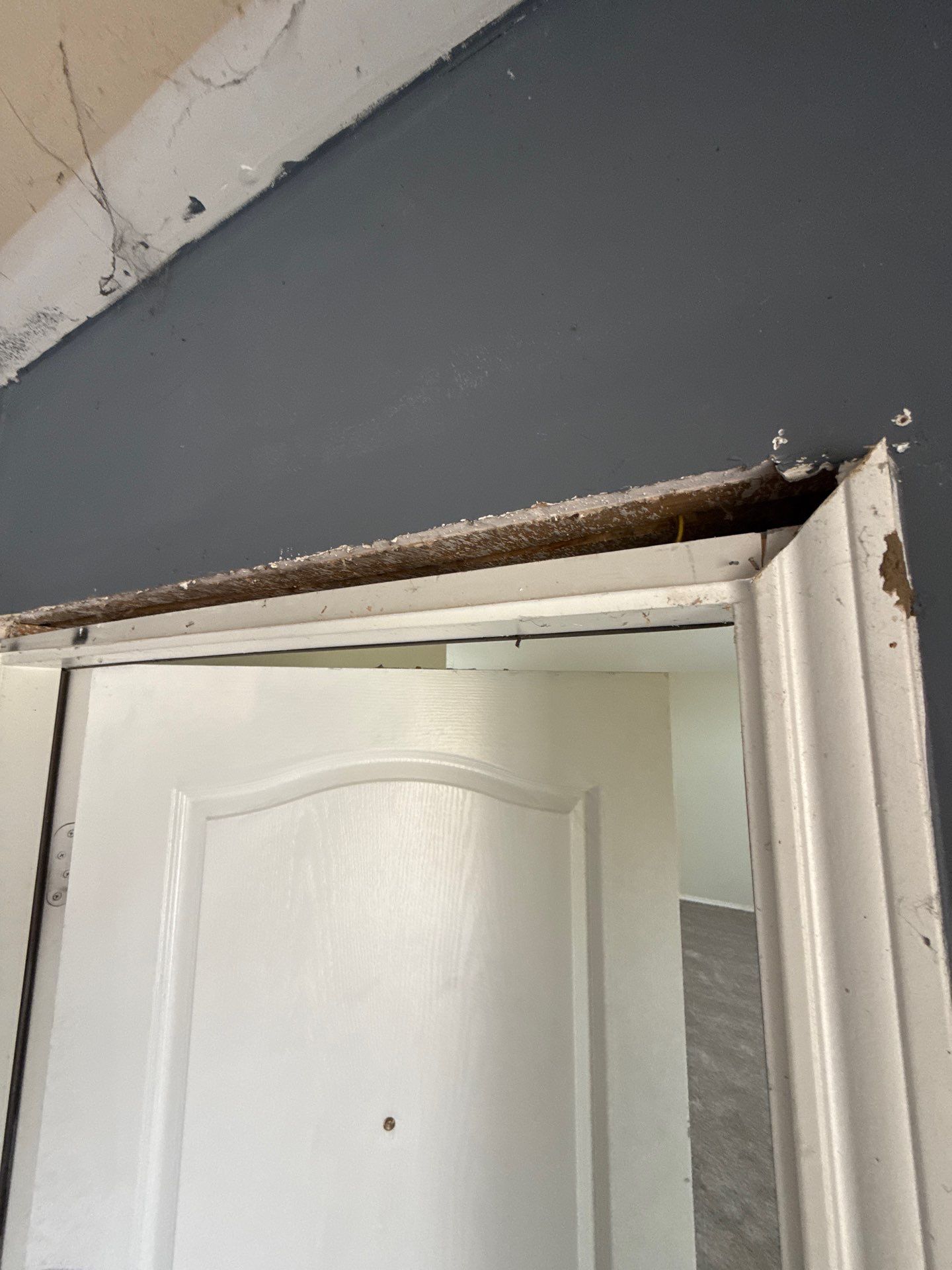 Professional plumbing service